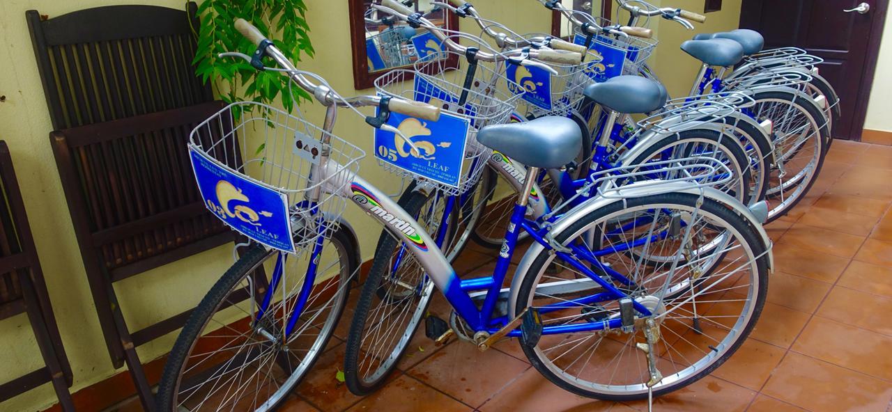 Leaf Homestay Hoi An Exterior foto