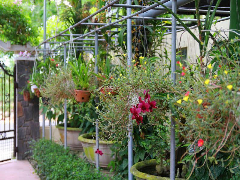 Leaf Homestay Hoi An Exterior foto