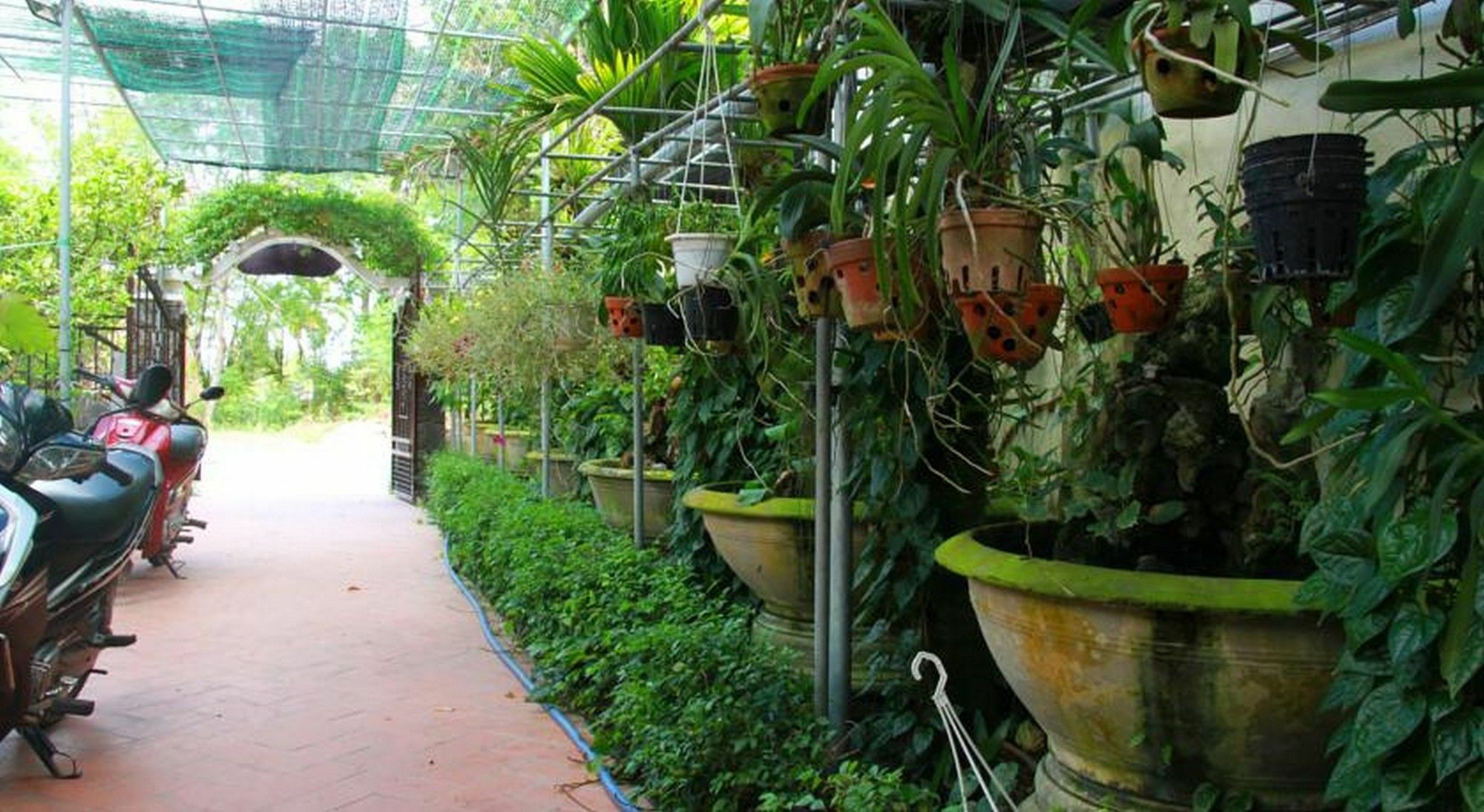 Leaf Homestay Hoi An Exterior foto